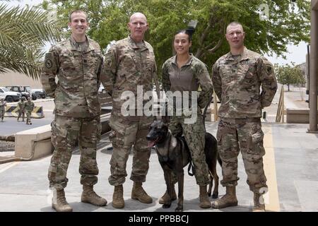 À partir de la gauche : l'armée américaine Cpt. Richard Blair, vétérinaire Le major Steven Pelham, vétérinaire, maître de la Marine américaine d'Armes 1ère classe Kristina Vargas, chien de travail militaire (MWD), gestionnaire d'Pponder MWD, et le capitaine de l'armée américaine Mckasson James, vétérinaire, tous posent pour une photo de groupe sur le Camp Lemonnier, Djibouti, le 18 août 2018. Le groupe affecté au Camp Lemonnier et Combined Joint Task Force - Corne de l'Afrique, a appuyé un événement de formation sur les soins aux blessés au combat tactique canine, pour se familiariser avec les membres de milieux médicaux, sur le traitement des canines incluses dans le domaine. Banque D'Images