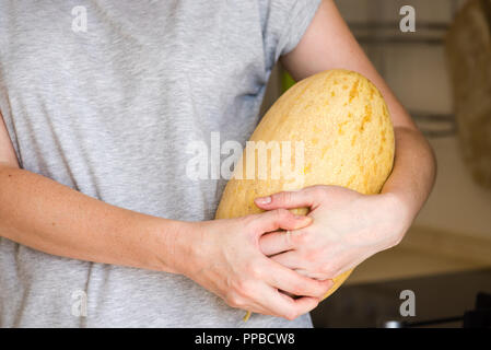 Belle ovale jaune melon dans les mains des femmes Banque D'Images