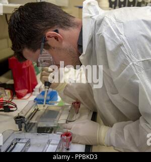 Anneau de Joseph, médecin légiste Forces armées du système-la force armée l'identification génétique de l'ADN, analyste de laboratoire prépare des échantillons pour l'exécution de gel 24 Août, 2018. L'AFDIL est le seul laboratoire d'ADN de la défense chargé de conflits passés et actuels d'identification des restes humains. Il fournit également la consultation scientifique, les nouvelles technologies et les services d'enseignement dans le domaine de l'analyse des empreintes génétiques à d'autres organismes fédéraux et internationaux. Banque D'Images