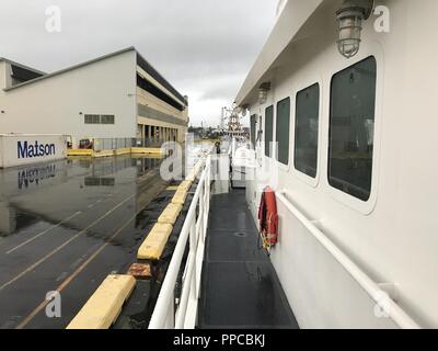 Garde-côtes américains Oliver Berry (WPC 1124) et Joseph Gerczak (CMP 1126) attendre la fin de l'ouragan Harvey, 23 août, 2018. Les lames sont bien placés pour se protéger contre les intempéries et en mesure de répondre à ceux qui en ont besoin. Banque D'Images