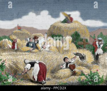 Histoire de l'agriculture. La tonte. Gravure, 19ème siècle. De couleur. Banque D'Images