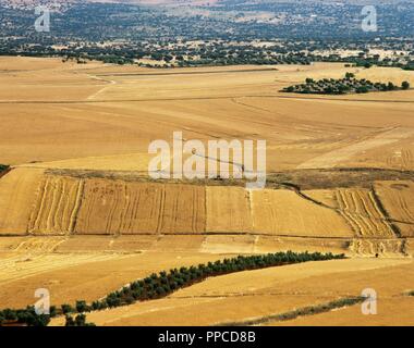 Paysage agricole. Région de La Serena. Province de Badajoz. L'Estrémadure. L'Espagne. Banque D'Images