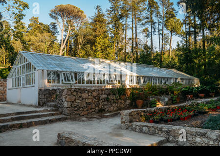 Sintra, Portugal - Sept 23, 2018 : Serre en parc de Pena, Sintra, Portugal - UNESCO World Heritage Site Banque D'Images