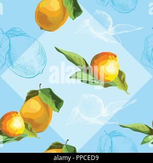 Vector illustration en couleur. Modèle sans couture avec vector et dessin à la main et la mandarine citron fruits isolé sur fond bleu. Pour l'art et de l'image Illustration de Vecteur