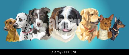 Série de portraits de vecteur coloré chien races Pinscher Allemand (dalmatien Border Collie ; ; ; ; ; St Bernard Basenji golden retriever ; Miniature Pinscher) Illustration de Vecteur