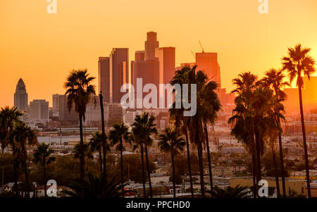Coucher du soleil sur les toits de Los Angeles, Californie, USA. Banque D'Images