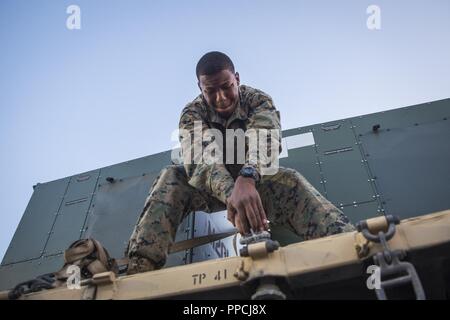 Le Corps des Marines des États-Unis. Calvin Fernandes, un opérateur de transport à moteur avec la Compagnie de soutien au combat, je Marine Expeditionary Force, Bataillon de soutien JE Marine Expeditionary Force, sangles cargo vers le bas au cours d'un exercice sur le terrain (FEX) au Marine Corps Base Camp Pendleton, en Californie, le 13 août 2018. Le FEX bataillon exposés Marines aux conditions sur le terrain, et se préparer à répondre aux besoins opérationnels et les objectifs de la formation dans l'année à venir. Banque D'Images