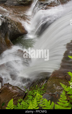 Buttermilk Falls State Park est un 811 acres (3,28 km2) State Park situé au sud-ouest de Ithaca, New York. Banque D'Images