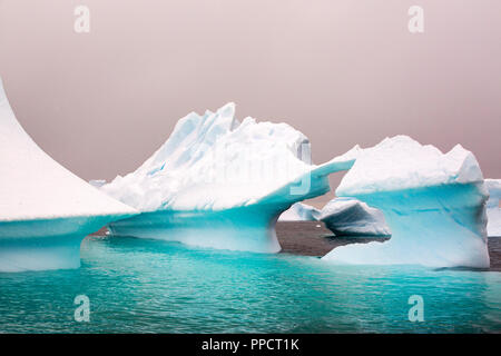 Les icebergs au large de l'île de Curverville sur la péninsule antarctique, qui est un des plus rapides des lieux réchauffement de la planète. Banque D'Images