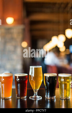 Verres de différentes bières debout en ligne au bar, Seattle, Washington, USA Banque D'Images