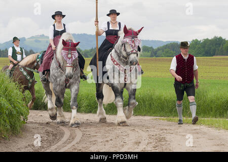 Le 'traditionnel' dans Leonhardiritt Holzhausen - Inzell, Oberbayern, Allemagne. Au cours du défilé qui a été mentionné pour la première fois en 1612, les magnifiques chevaux habillés sont bénis. Banque D'Images