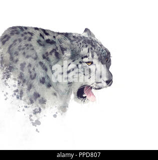 Snow Leopard portrait aquarelle sur fond blanc Banque D'Images