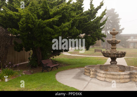 Un banc sous un arbre près d'une fontaine sur un matin brumeux. Banque D'Images