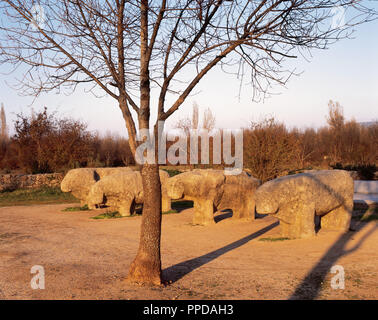 ARTE PREHISTORICO. EDAD DEL HIERRO. ESPAÑA. TOROS DE GUISANDO. Figuras zoomorfas toscamente graníticos esculpidas en bloques y que corresponden a la llamada CULTURA DE LOS VERRACOS de la Meseta (S. II a. C.). GUISANDO. Provincia de Avila. Castille-león. Banque D'Images