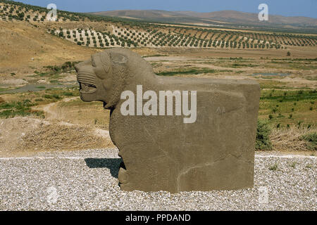 À l'âge de fer Syro-Hittite. Un lion taillé dans la pierre. Ain Dara temple. Ain Dara. La Syrie. Banque D'Images