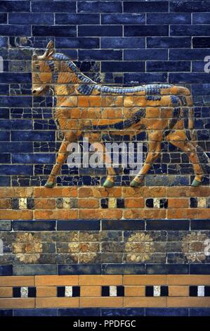 L'art mésopotamien Neo-Babylonian. Ishtar Gate, l'une des huit portes de la paroi interne de Babylone. Construit en l'an 575 av. J.-C. sous le règne de Nabuchodonosor II (604-562 avant J.-C.) à l'aide de brique bleu glacé avec des lignes alternées avec des dragons basrelief mushussu, appelé aussi sirrush, et aurochs. Il a été dédié à la déesse Ishtar babylonienne. Reconstruit en 1930. Un aurochs au-dessus d'un ruban de fleurs. Musée de Pergame. Berlin. L'Allemagne. Banque D'Images