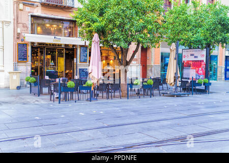 Avenida de la Constitucion, rue piétonne dans le centre-ville de Séville Banque D'Images