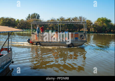 Safari bateau flottant sur des zones humides la Mary River Wetlands, Katherine, Territoire du Nord, Australie Banque D'Images