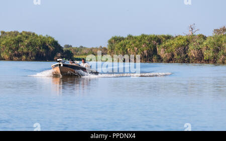 Safari bateau flottant sur des zones humides la Mary River Wetlands, Katherine, Territoire du Nord, Australie Banque D'Images