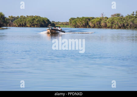 Safari bateau flottant sur des zones humides la Mary River Wetlands, Katherine, Territoire du Nord, Australie Banque D'Images