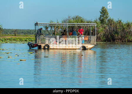 Safari bateau flottant sur des zones humides la Mary River Wetlands, Katherine, Territoire du Nord, Australie Banque D'Images