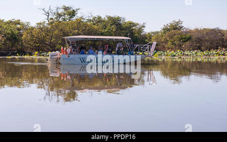 Safari bateau flottant sur des zones humides la Mary River Wetlands, Katherine, Territoire du Nord, Australie Banque D'Images