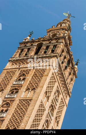 La Giralda, le clocher de la Cathédrale de Séville Séville, Espagne. Banque D'Images