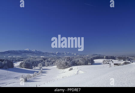 L'hiver dans les Alpes de Chiemgau dans la région de Neukirchen - Siegsdorf, l'arrondissement de Traunstein, Chiemgau, Haute-Bavière, Bavière, Allemagne. Banque D'Images