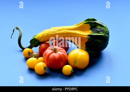 La citrouille et la rouge, tomates jaunes sur fond bleu. Banque D'Images