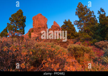 Roque Nublo, montagne sacrée Tirajana ravin, Gran Canaria Island, les îles Canaries, Espagne, Europe Banque D'Images