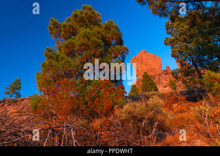 Roque Nublo, montagne sacrée Tirajana ravin, Gran Canaria Island, les îles Canaries, Espagne, Europe Banque D'Images