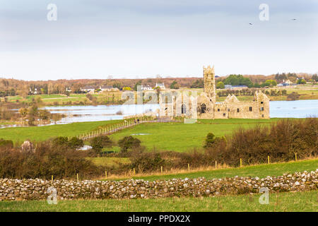 Fondée en 1351 et située près de Headford dans le comté de Galway, Ross Errilly Friary est l'un des mieux préservés en sites monastiques du moyen âge en Irlande. Banque D'Images