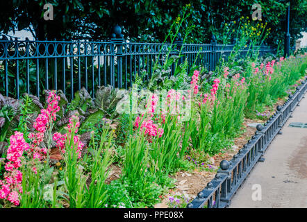 Ligne de fleurs sur le trottoir, le 5 avril 2015, à Waterfront Park de Charleston, Caroline du Sud. Banque D'Images