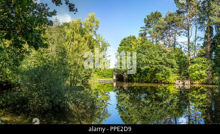 Southcrest Woods à Redditch, Worcestershire, Angleterre sur une journée ensoleillée. Banque D'Images