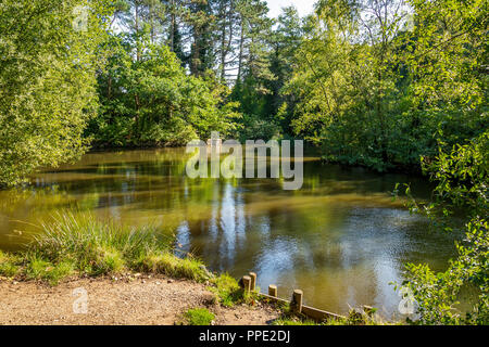 Southcrest Woods à Redditch, Worcestershire, Angleterre sur une journée ensoleillée. Banque D'Images