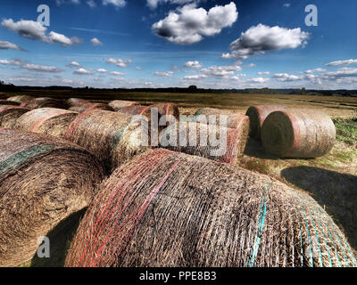 Bottes de paille dans un champ moissonné dans Ampermoos à Grafrath. Banque D'Images