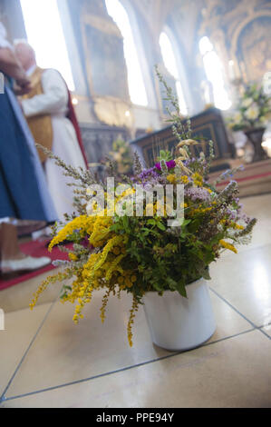 Fête patronale de l'Assomption en l'église de Saint Mary, Ramersdorf La photo montre herbe sacrée de buissons. Banque D'Images