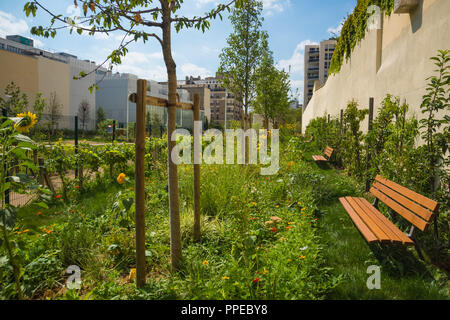 Paris, Parc Saint-Ambroise, Jardin Truillot, 2018 Banque D'Images