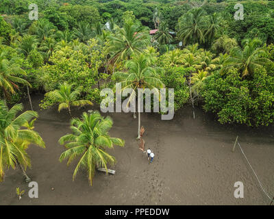 Parc National de Tortuguero, Costa Rica Banque D'Images