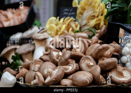 Couleurs des champignons frais à Borough Market, London Banque D'Images