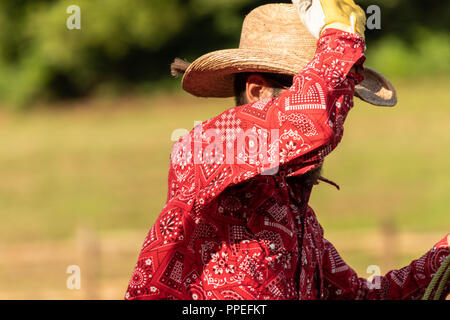 Cowboys italiens et américains, l'échauffement dans un rodéo international show. Vintage nostalgie sur une journée ensoleillée au ranch. Redshirt, blue jeans, les hommes. Banque D'Images