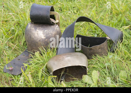 Cloches à l'Almabtrieb (transport de bétail) à partir de la Saletalm sur le Seelaende à Koenigssee et de là à leur accueil grange de Schoenau, Berchtesgaden-campagne, Haute-Bavière, Allemagne Banque D'Images