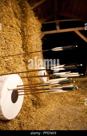 Les cibles et les flèches dans le soi-disant 'dojo' dans le club Isar-Dojo. 'Le Kyudo voie de l'arc' est l'art traditionnel japonais de la guerre, il est pratiqué dans l'ouverture et n'a qu'un refuge pour la zone cible. Dojo est le terme pour les lieux où se pratique l'art martial japonais. Banque D'Images