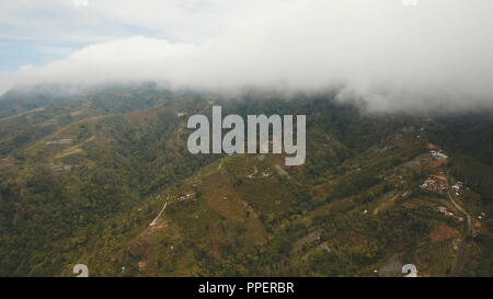 Vue aérienne des terres agricoles dans les montagnes, champs, arbres, nuages brouillard blanc à Bali, Indonésie. Brouillard, nuages sur les terres agricoles. Paysage de montagne rurale. Banque D'Images