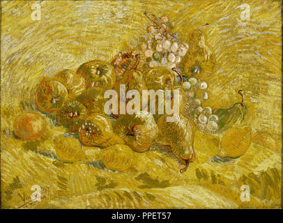 Kweeperen, citroenen, peren en druiven / Coings, citrons, poires et raisins. Date/Période : De 1887 à 1888. La peinture. Huile sur toile. Hauteur : 48,5 cm (19 in) ; largeur : 65 cm (25,5 in). Auteur : Vincent VAN GOGH. VAN GOGH, VINCENT. Banque D'Images