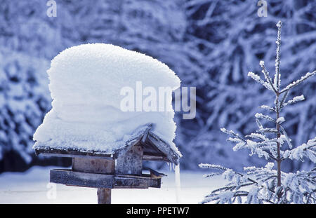 Boîte à nid pour nourrir les oiseaux dans l'hiver enneigé. Banque D'Images