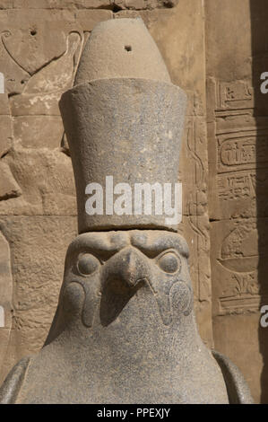 L'Egypte, Edfou. Temple d'Horus. Pronaos. Période ptolémaïque. Il a été construit pendant le règne de Ptolémée III et Ptolémée XII, 237-57 BC. Statue en granit du dieu faucon Horus portant la double couronne d'Égypte. Vue avant, détail. Banque D'Images