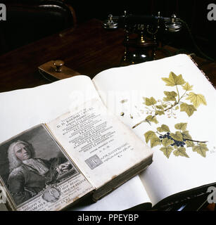 Détail de livres anciens de médecine et d'herbes. Bibliothèque du Palais Royal de Madrid. L'Espagne. Banque D'Images