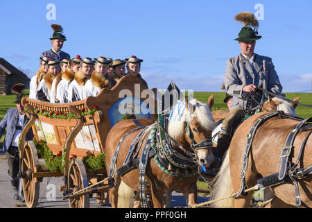 Leonhardifahr à Murnau en l'honneur de Saint Léonard, patron des chevaux, avec de nombreux entraîneurs et les chevaux décorés Banque D'Images