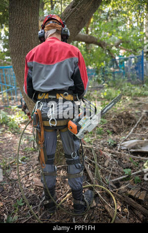 Travailleur en tenue de protection dans une forêt est titulaire d'une scie à chaîne. Tiré de l'arrière Banque D'Images